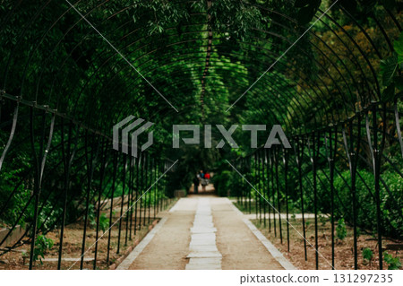 A garden path leads under an arched tunnel, inviting exploration. A beautiful garden path is framed by an arched structure covered with lush greenery. People walk towards the end of the pathway. A garden path leads under an arched tunnel, inviting exploration. A beautiful garden path is framed by an arched structure covered with lush greenery. People walk towards the end of the pathway. 131297235