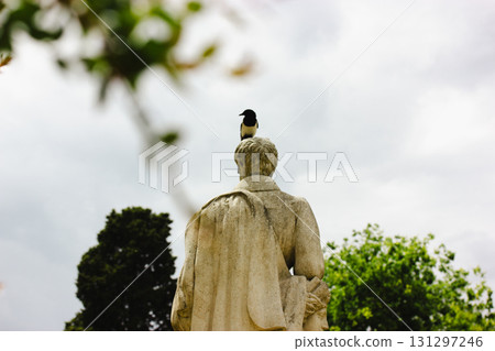 A magpie sits atop a classical statue in a beautiful park on a cloudy day. A black and white bird perched atop a classical statue's head in a serene outdoor setting with blurred foliage and a sky. 131297246