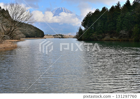Mount Fuji in winter as seen from Lake Tanuki, Fujinomiya City, Shizuoka Prefecture Mount Fuji in winter as seen from Lake Tanuki, Fujinomiya City, Shizuoka Prefecture 131297760