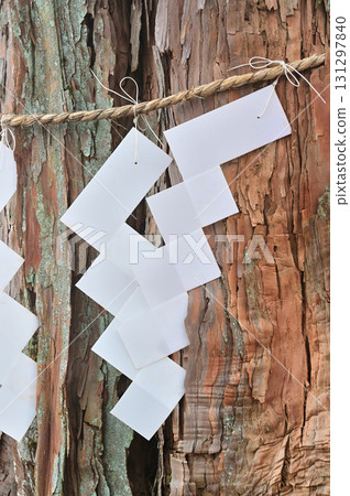 The sacred cypress tree of Mount Amashi in the Tenshi Mountains The sacred cypress tree of Mount Amashi in the Tenshi Mountains 131297840