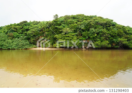 沖繩縣石垣島吹取川的紅樹林 131298403