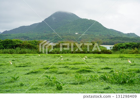 Ibaruma, Ishigaki Island, Okinawa Prefecture Ibaruma, Ishigaki Island, Okinawa Prefecture 131298409