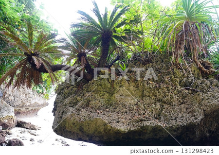 Okinawa Prefecture Ishigaki Island Sabichi Limestone Cave 131298423