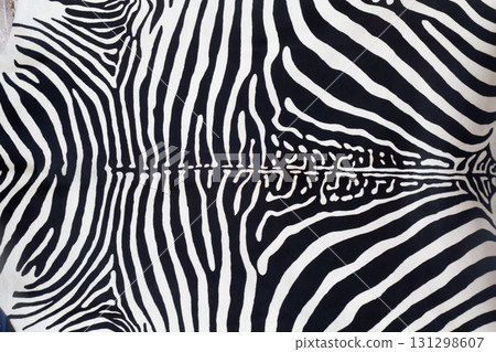 Zebra leather skin texture painted Zebra leather skin texture painted 131298607