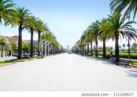 beach boulevard in Salou with palm trees beach boulevard in Salou with palm trees 131298627