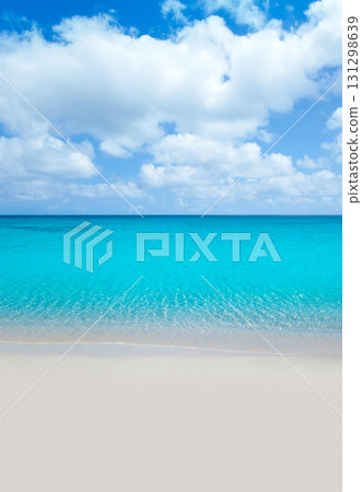 beach tropical with white sand and turquoise wate beach tropical with white sand and turquoise wate 131298639