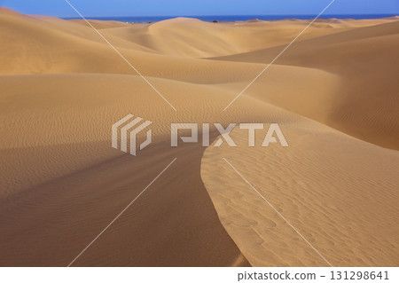 Desert sand dunes in Maspalomas Gran Canaria Desert sand dunes in Maspalomas Gran Canaria 131298641