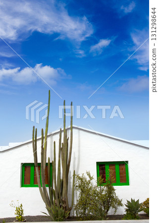 Lanzarote Teguise white and cactus village Lanzarote Teguise white and cactus village 131298644