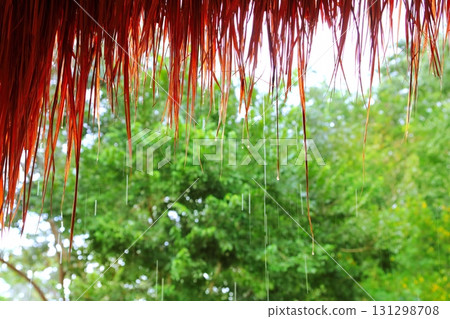 Jungle hut rain in rainforest water dropping detail Jungle hut rain in rainforest water dropping detail 131298708