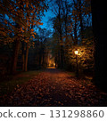 Autumn park with autumn leaves 131298860