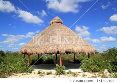 Big Palapa hut sunroof in Mexico jungle 131299308