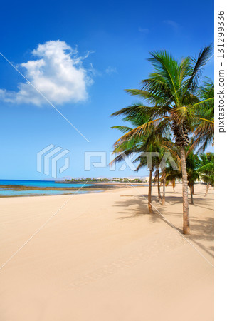 Arrecife Lanzarote Playa Reducto beach palm trees Arrecife Lanzarote Playa Reducto beach palm trees 131299336
