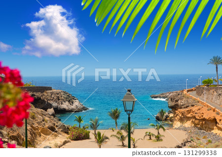 Beach Playa Paraiso costa Adeje in Tenerife 131299338
