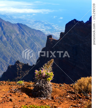 Caldera de Taburiente in Roque Muchachos Caldera de Taburiente in Roque Muchachos 131299339