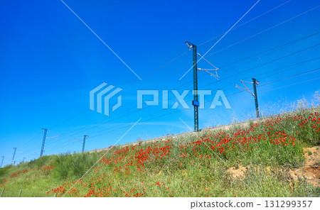 Railway at Camino de Santiago Levante Railway at Camino de Santiago Levante 131299357
