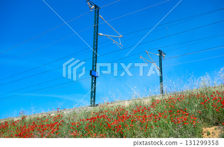 Railway at Camino de Santiago Levante 131299358