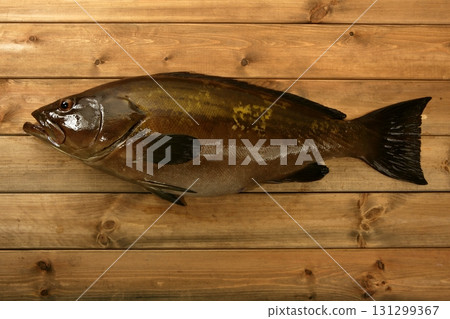 Grouper fish seafood, fishing catch over wood Grouper fish seafood, fishing catch over wood 131299367