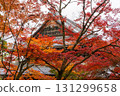 Nanzenji Temple and autumn leaves 131299658