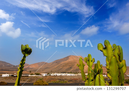 Lanzarote Yaiza with cactus and mountains Lanzarote Yaiza with cactus and mountains 131299707