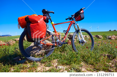 Camino de Santiago by bicycle Saint James 131299753