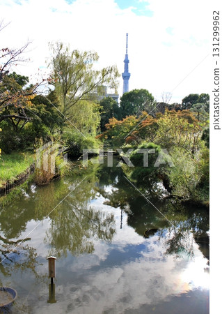 東京:向島百花園的池塘 東京:向島百花園的池塘 131299962