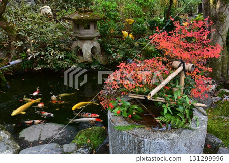 The garden of Shinzenkoji Temple, a sub-temple of Sennyuji Temple in Kyoto The garden of Shinzenkoji Temple, a sub-temple of Sennyuji Temple in Kyoto 131299996
