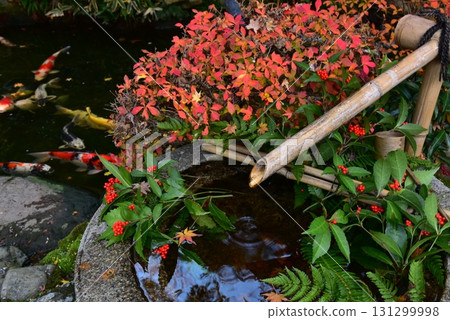 京都仙入寺的分寺-真善光寺的庭園 京都仙入寺的分寺-真善光寺的庭園 131299998