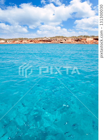 Cala Saona beach in formentera with fishes Cala Saona beach in formentera with fishes 131300030