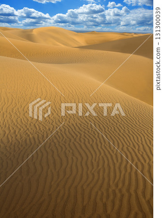 Desert sand dunes in Maspalomas Gran Canaria Desert sand dunes in Maspalomas Gran Canaria 131300039