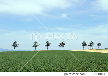 Memanbetsu Fairy Tale Hill Fairy Tale Hill Hilly Area 131300061