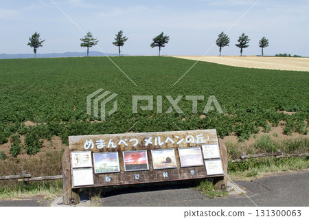 Memanbetsu Fairy Tale Hill Fairy Tale Hill Hilly Area 131300063