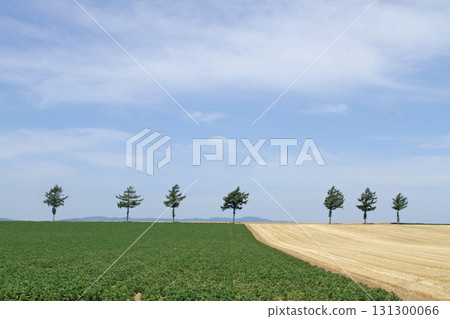 Memanbetsu Fairy Tale Hill Fairy Tale Hill Hilly Area Memanbetsu Fairy Tale Hill Fairy Tale Hill Hilly Area 131300066