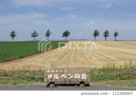 女滿別童話之丘 童話之丘丘陵地帶 女滿別童話之丘 童話之丘丘陵地帶 131300067