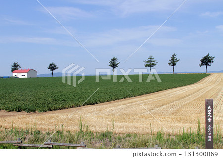 Memanbetsu Fairy Tale Hill Fairy Tale Hill Hilly Area Memanbetsu Fairy Tale Hill Fairy Tale Hill Hilly Area 131300069