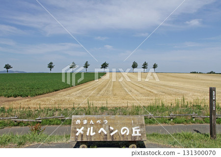 女滿別童話之丘 童話之丘丘陵地帶 131300070