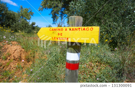 Camino de santiago Levante sign track 131300091