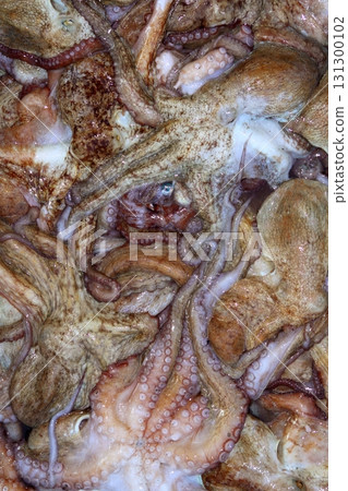background octopus mediterranean texture catch 131300102