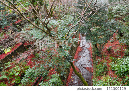 Tofukuji Temple in Kyoto in winter: Sengyokukan seen from Gaunbashi Bridge (Higashiyama Ward, Kyoto City) Tofukuji Temple in Kyoto in winter: Sengyokukan seen from Gaunbashi Bridge (Higashiyama Ward, Kyoto City) 131300129