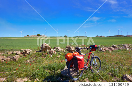 Camino de Santiago by bicycle Saint James 131300759