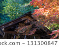 Arashiyama Nonomiya Shrine and autumn leaves 131300847