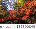 The red bridge of Kitano Tenmangu Shrine, decorated with autumn leaves 131300849