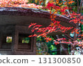 Stone lanterns at Kitano Tenmangu Shrine, decorated with autumn leaves 131300850