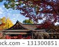 Kitano Tenmangu Shrine's worship hall and autumn scenery colored by autumn leaves 131300851