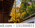 Scenery of autumn leaves and the shrine building at Kitano Tenmangu Shrine 131300853