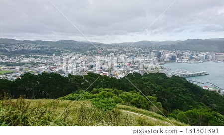 從維多利亞山頂 131301391