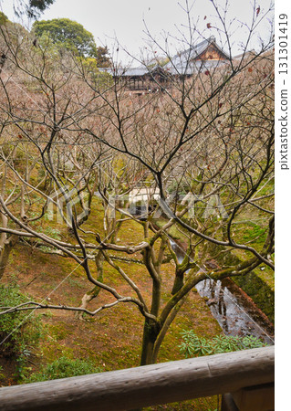 Tofukuji Temple in Kyoto in winter: Sengyokukan seen from Gaunbashi Bridge (Higashiyama Ward, Kyoto City) Tofukuji Temple in Kyoto in winter: Sengyokukan seen from Gaunbashi Bridge (Higashiyama Ward, Kyoto City) 131301419