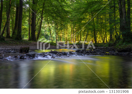 Odenthal, Bergisches Land, North Rhine Westphalia, Germany 131301906