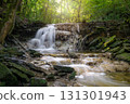 Landscape image with small creek, Eifel, Germany Landscape image with small creek, Eifel, Germany 131301943
