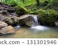 Landscape image with small creek, Eifel, Germany Landscape image with small creek, Eifel, Germany 131301946