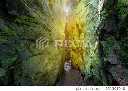 Landscape close to Treves, Eifel, Germany 131301948